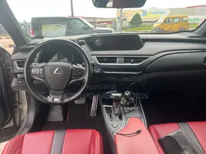 Lexus UX 250h 2020 Gray