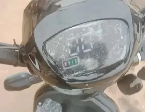 Electric Scooter With Charger