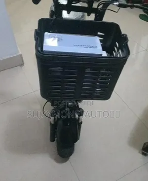 Electric Scooter Bike