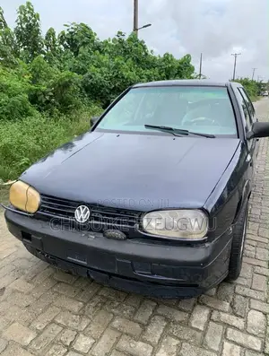 Volkswagen Golf 2000 Blue