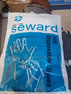Disposable Nylon Gloves -100 Packs in a Carton (100 Piece in a Pack)