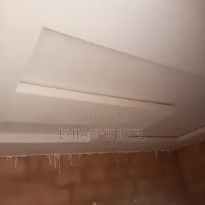 Polystyrene Ceiling