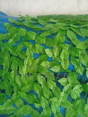 Artificial Wall Flower Mat. Available in Bulk