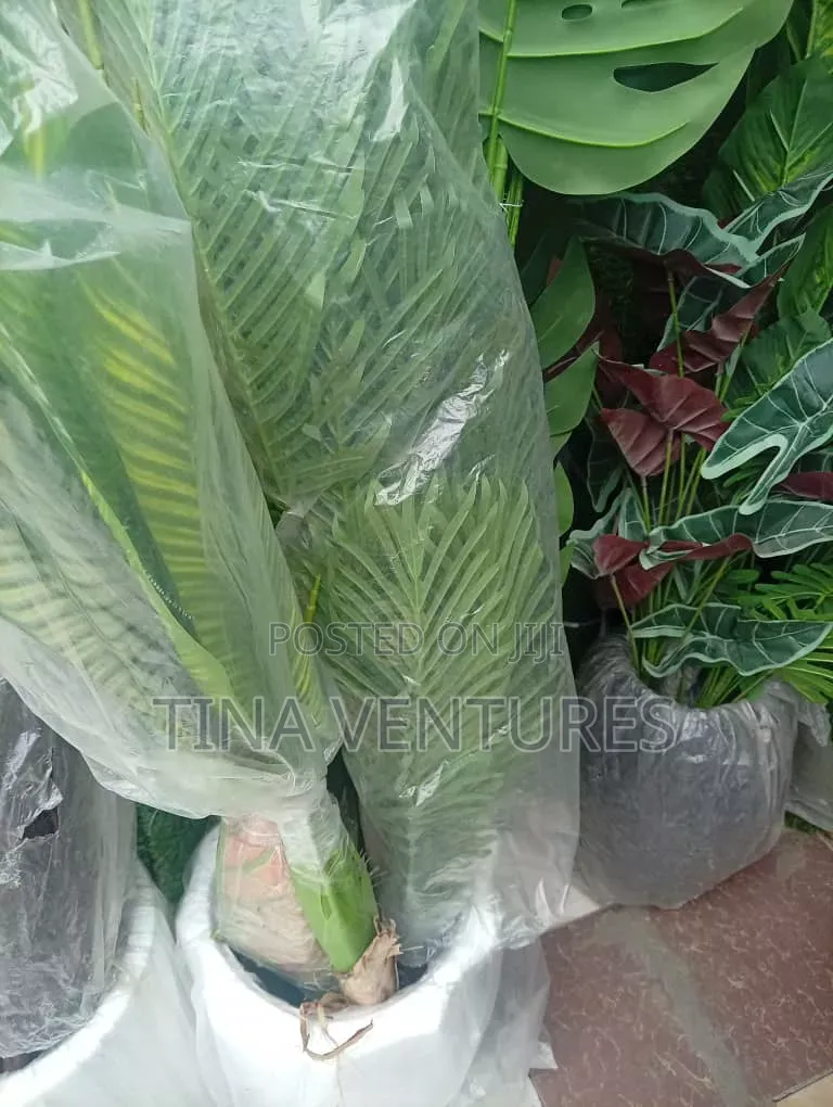 Artificial Flowers Available in Bulk. Available in Different Size.
