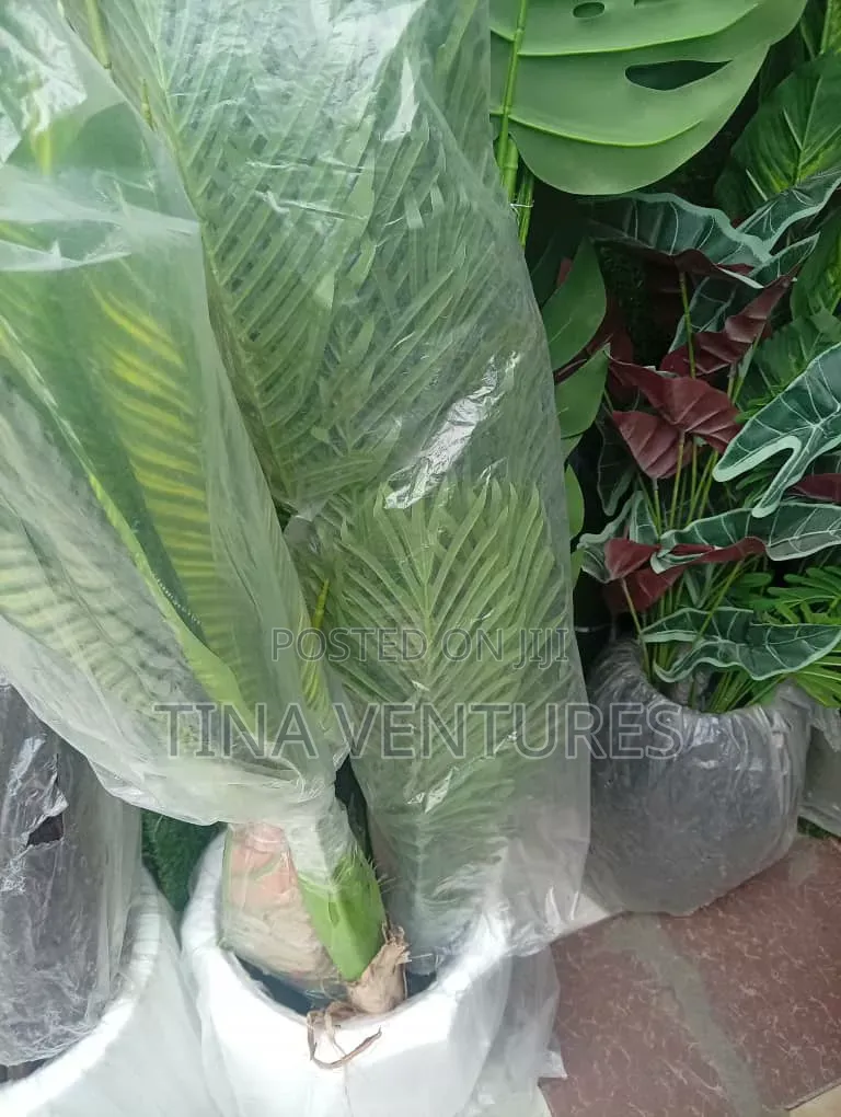 Artificial Flowers Available in Bulk. Available in Different Size.