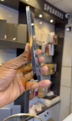 Apple iPhone 12 Pro Max 128 GB Gray
