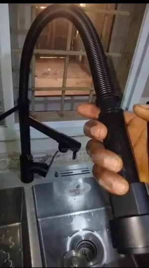 Big Brother Sink Mixer