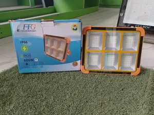 FFG 600W All-in-One Solar Flood Light