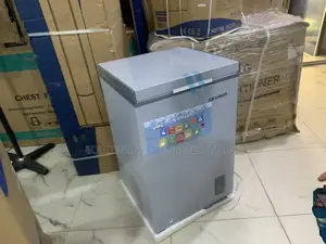 Skyrun BD-90A 90L Freezer for Everyday Storage