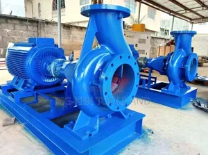 Centrifugal Industrial Pump 12" × 10"