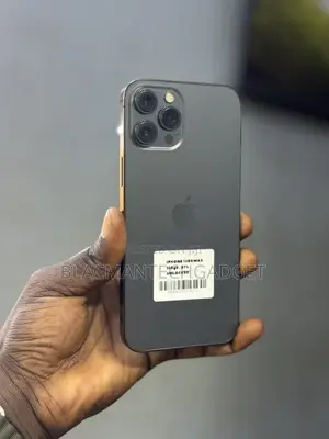 Apple iPhone 12 Pro Max 128 GB Gray