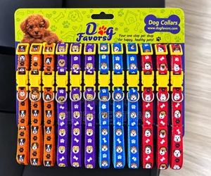 12 in 1 Dog Favour Puppy Collar 1.0cm