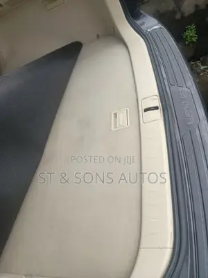 Lexus RX 2010 Gray