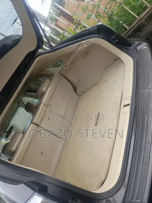 Lexus RX 2010 Gray