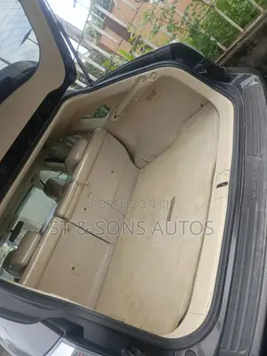 Lexus RX 2010 Gray