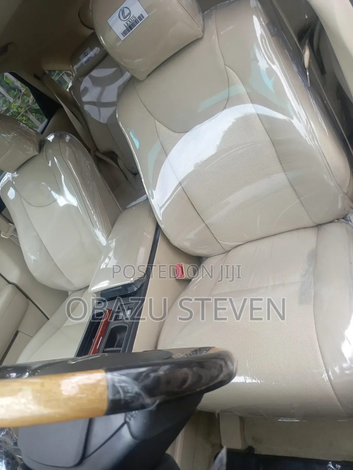 Lexus RX 2010 Gray