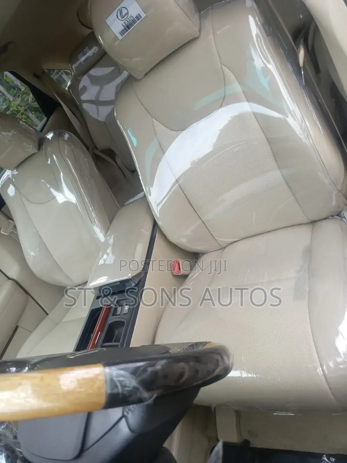 Lexus RX 2010 Gray