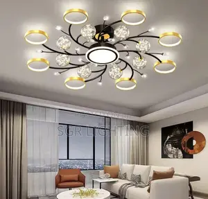 Modern Black Ceiling Chandeliers for Living Room Hall Ceiling