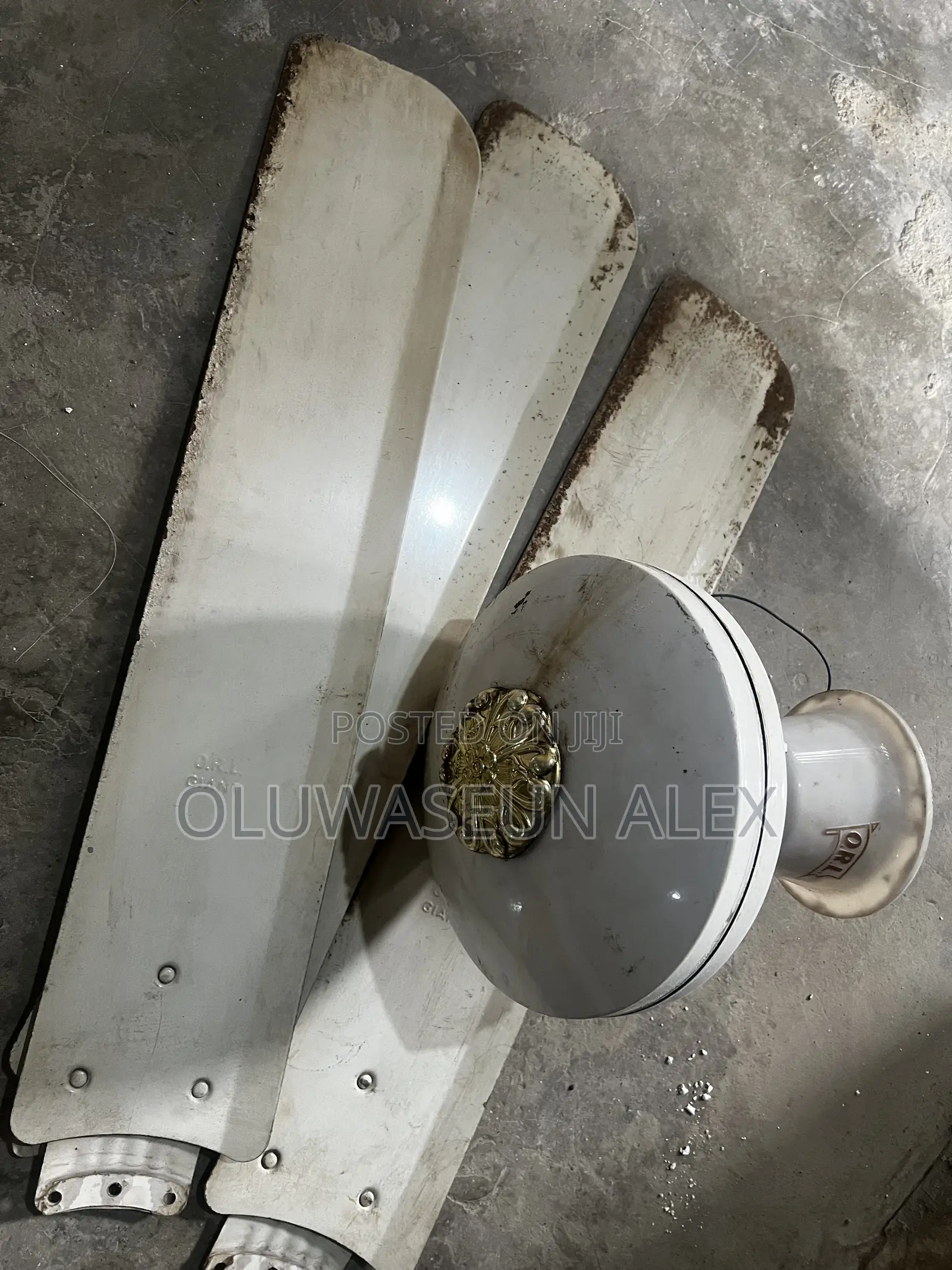 ORL Ceiling Fan