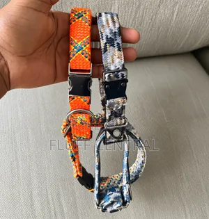 Design Adjustable Woven Pet Nylon Collar With Metal Buckle 2.5cm