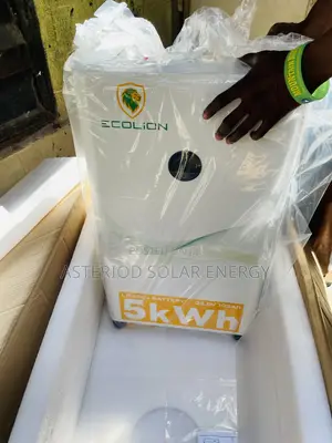 Brand New 5kwh 24v Eco Lion Lithium Ion Battery