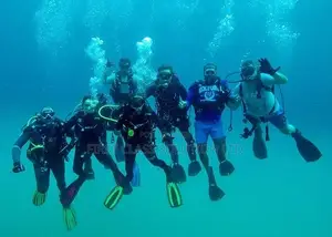 Scuba Diving and Snorkelling Services