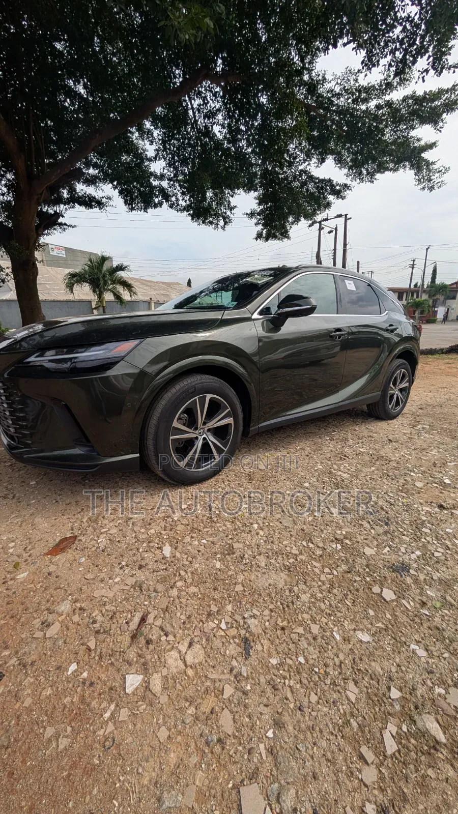 Lexus RX 2023 Green