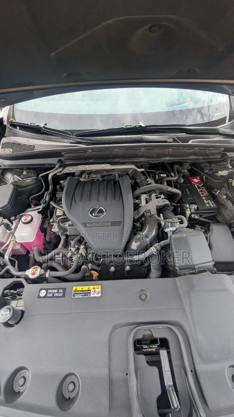 Lexus RX 2023 Green