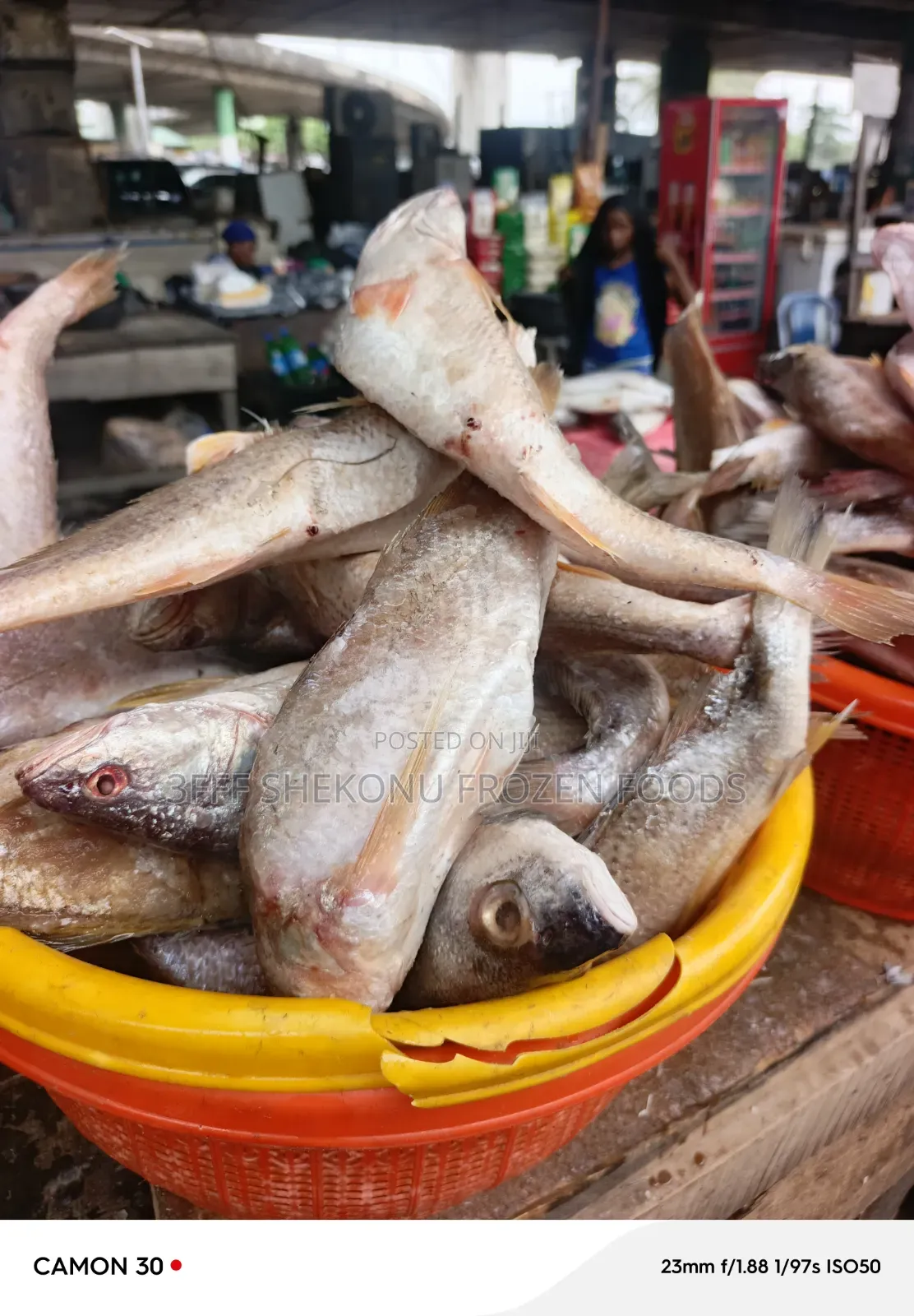Sac Mix Fish