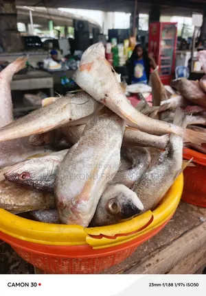 Sac Mix Fish