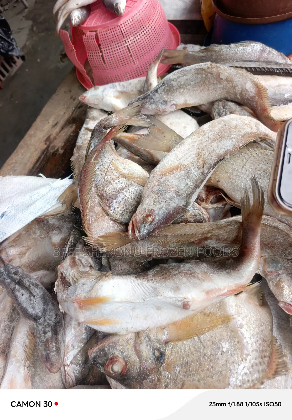 Sac Mix Fish