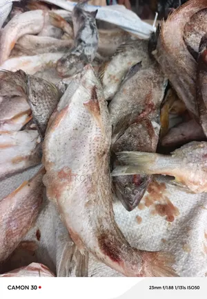 Sac Mix Fish