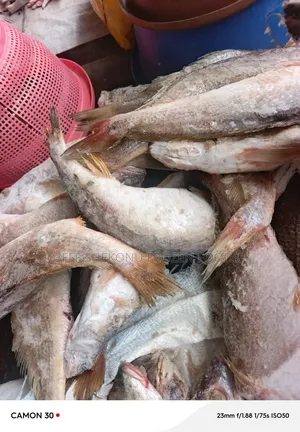 Sac Mix Fish