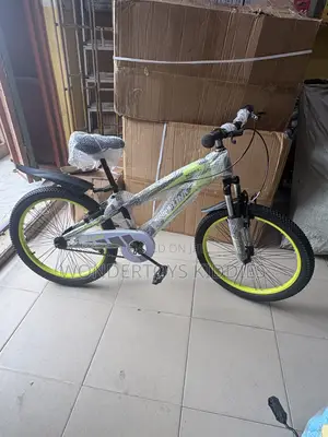 Size 22 Bicycle