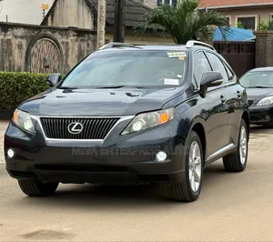 Lexus RX 2011 Gray