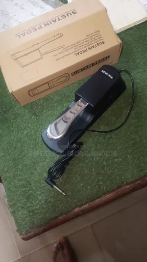 Sustain Pedal