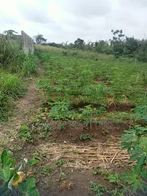 Half Plot for Sale Abiola Arobieye 5m