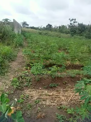Half Plot for Sale Abiola Arobieye 5m