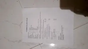 Housekeeping Cleaning CV