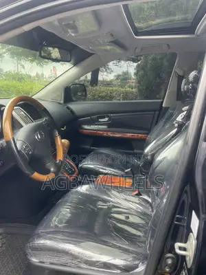 Lexus RX 2008 Gray