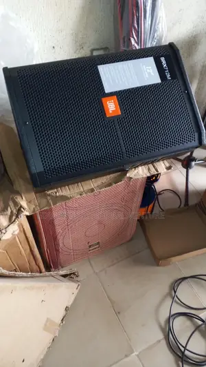JBL 12inch Monitor/Feedback