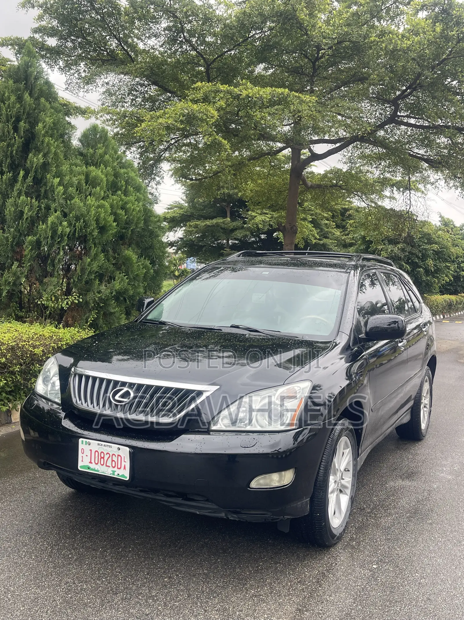 Lexus RX 2008 Gray