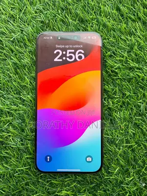 Apple iPhone 15 Pro Max 256 GB Gray