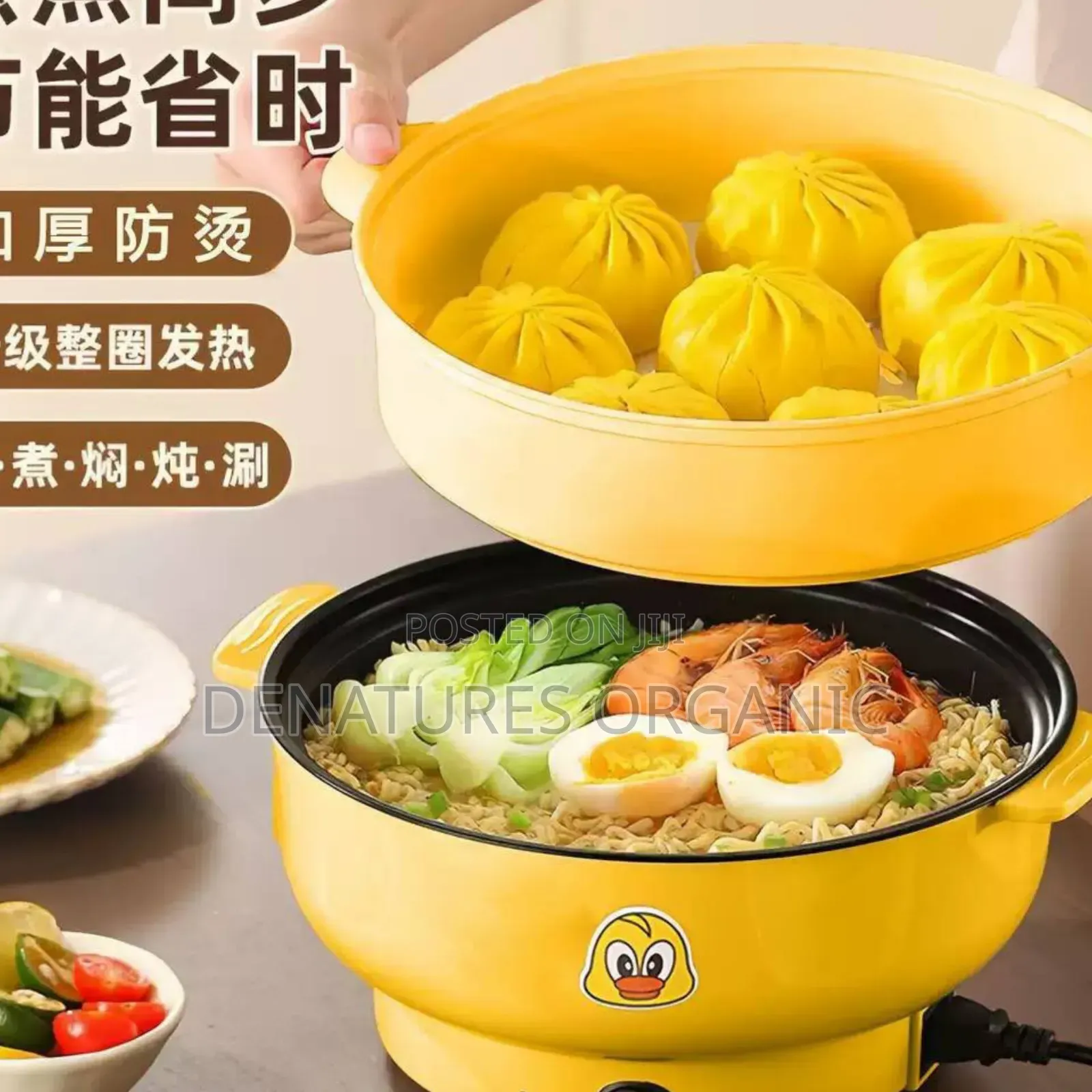 Mini 4 Litre Electric Hot Pot With Steamer Simultaneous Steamer