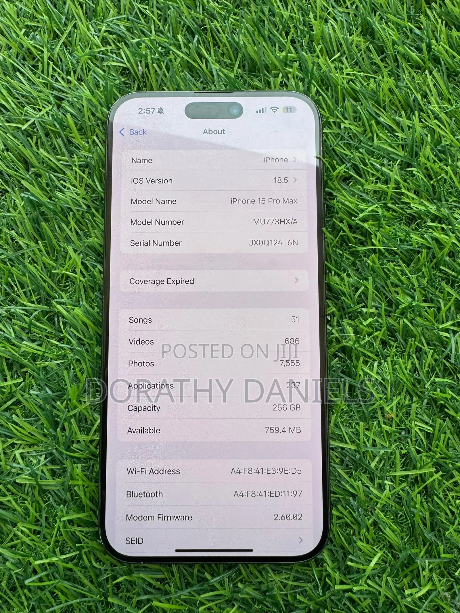 Apple iPhone 15 Pro Max 256 GB Gray