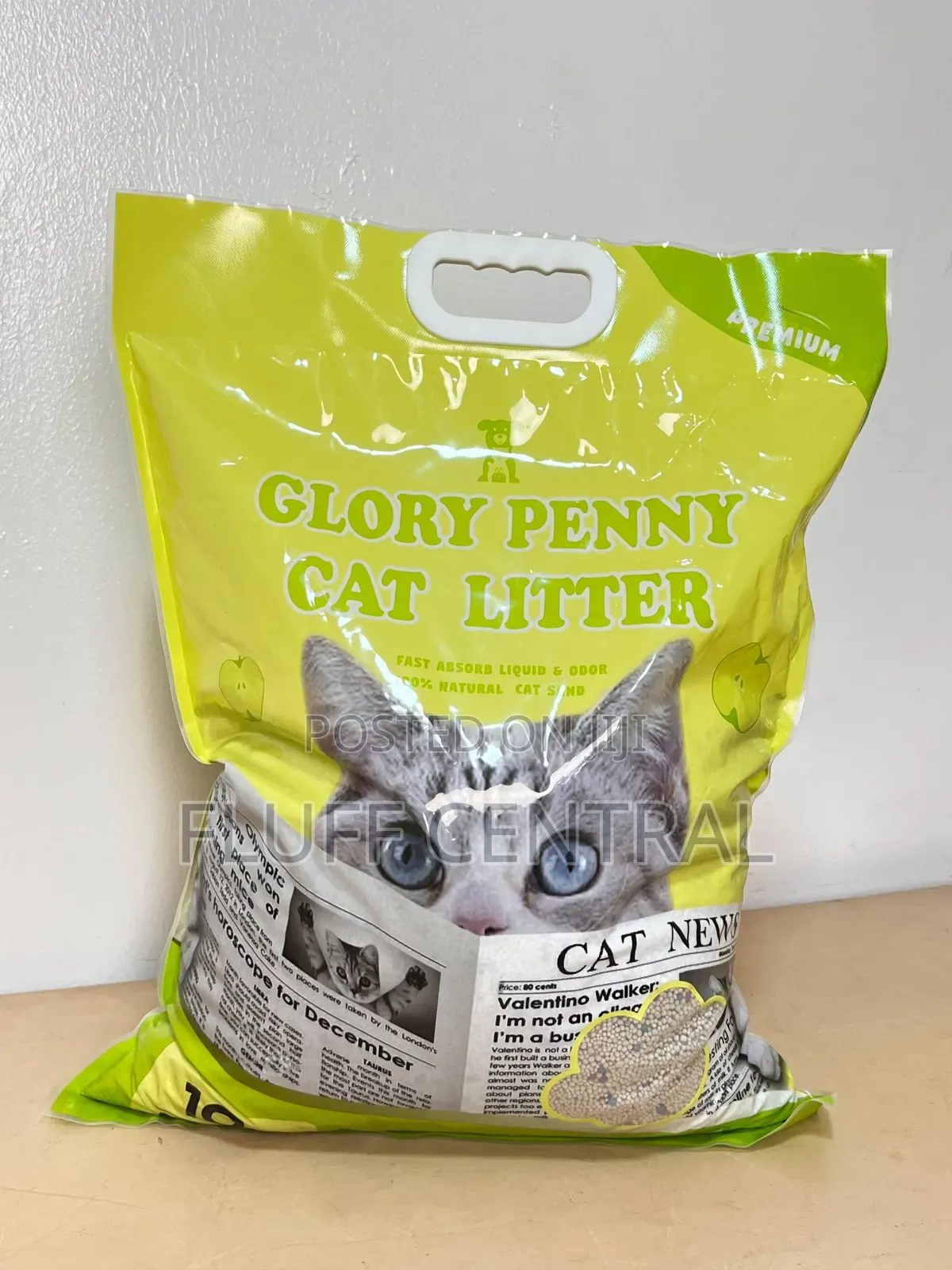 Glory Penny Bentonite Clumping Cat Litter Sand 10L