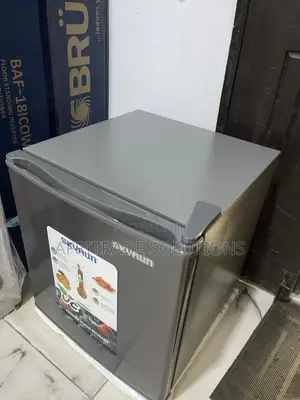 Skyrun BCD-50HW 48-Litre Compact Fridge