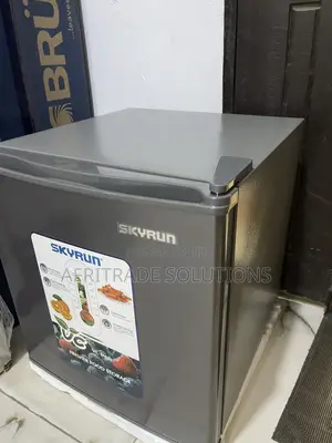 Skyrun 48L Personal Bedside Refrigerator
