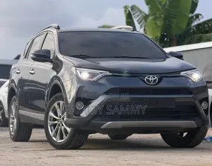 Toyota RAV4 2017 Gray