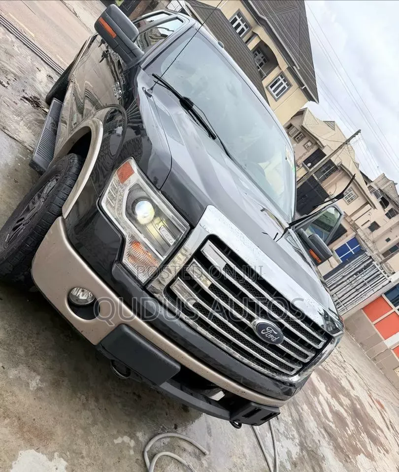 Ford F-150 2013 Brown